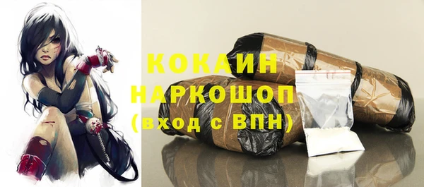 индика Белоозёрский