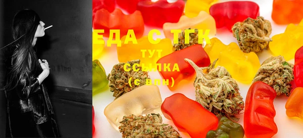 амф Ельня