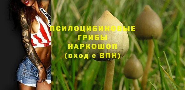 Альфа ПВП Богородск