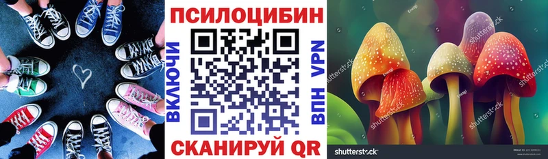 Псилоцибиновые грибы MAGIC MUSHROOMS  Менделеевск 